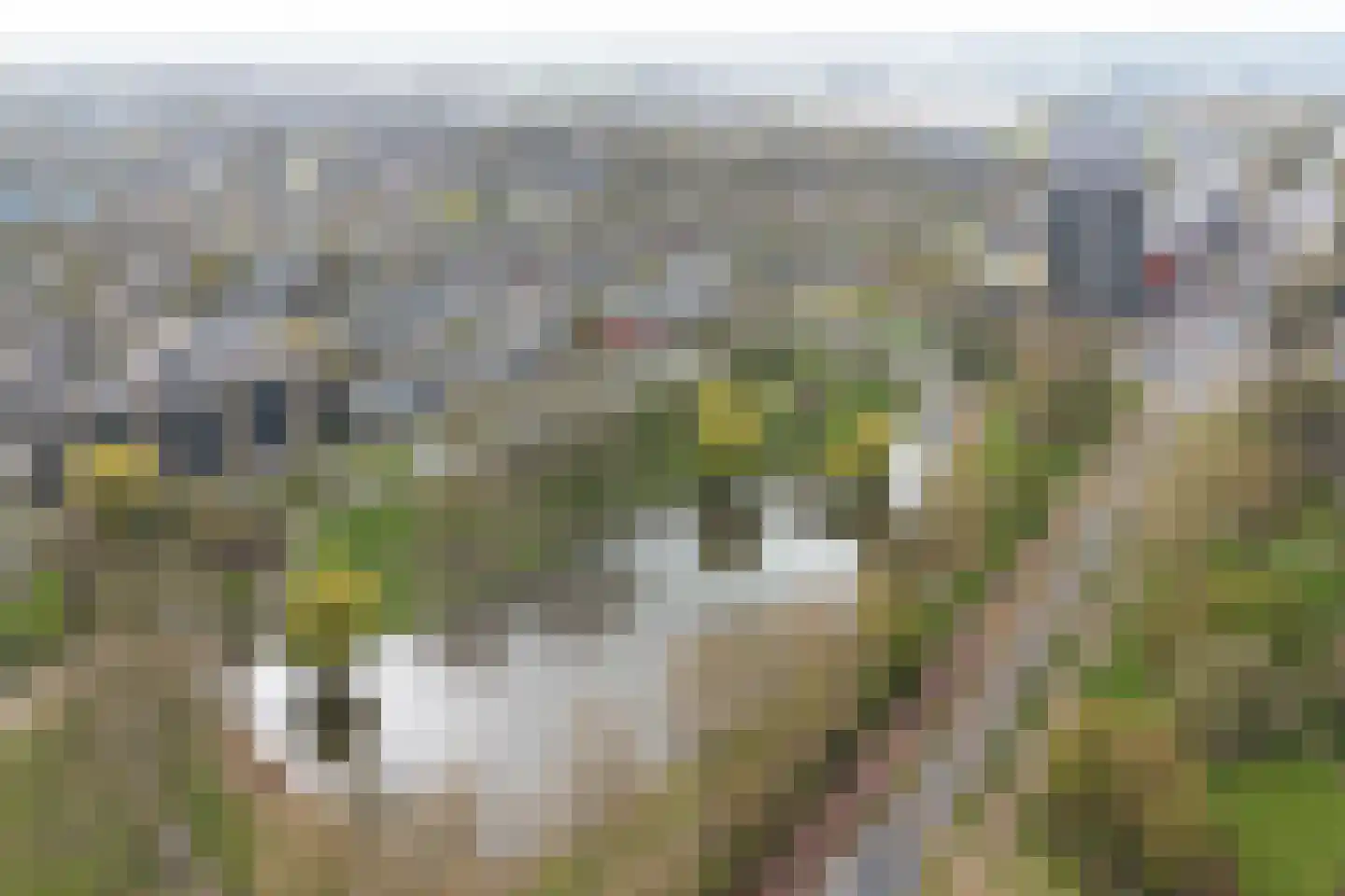 Jhr. De Savornin Lohmanstraat 187 Ridderkerk thumbnail 6