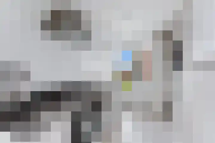 Jhr. De Savornin Lohmanstraat 20 Ridderkerk thumbnail 12