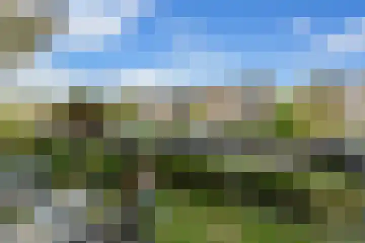 Jhr. De Savornin Lohmanstraat 20 Ridderkerk thumbnail 27