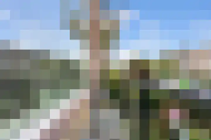 Jhr. De Savornin Lohmanstraat 20 Ridderkerk thumbnail 28