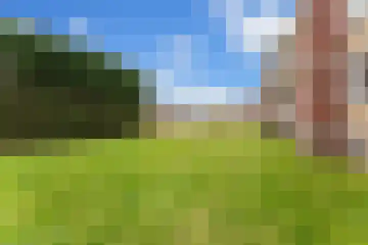 Jhr. De Savornin Lohmanstraat 20 Ridderkerk thumbnail 33