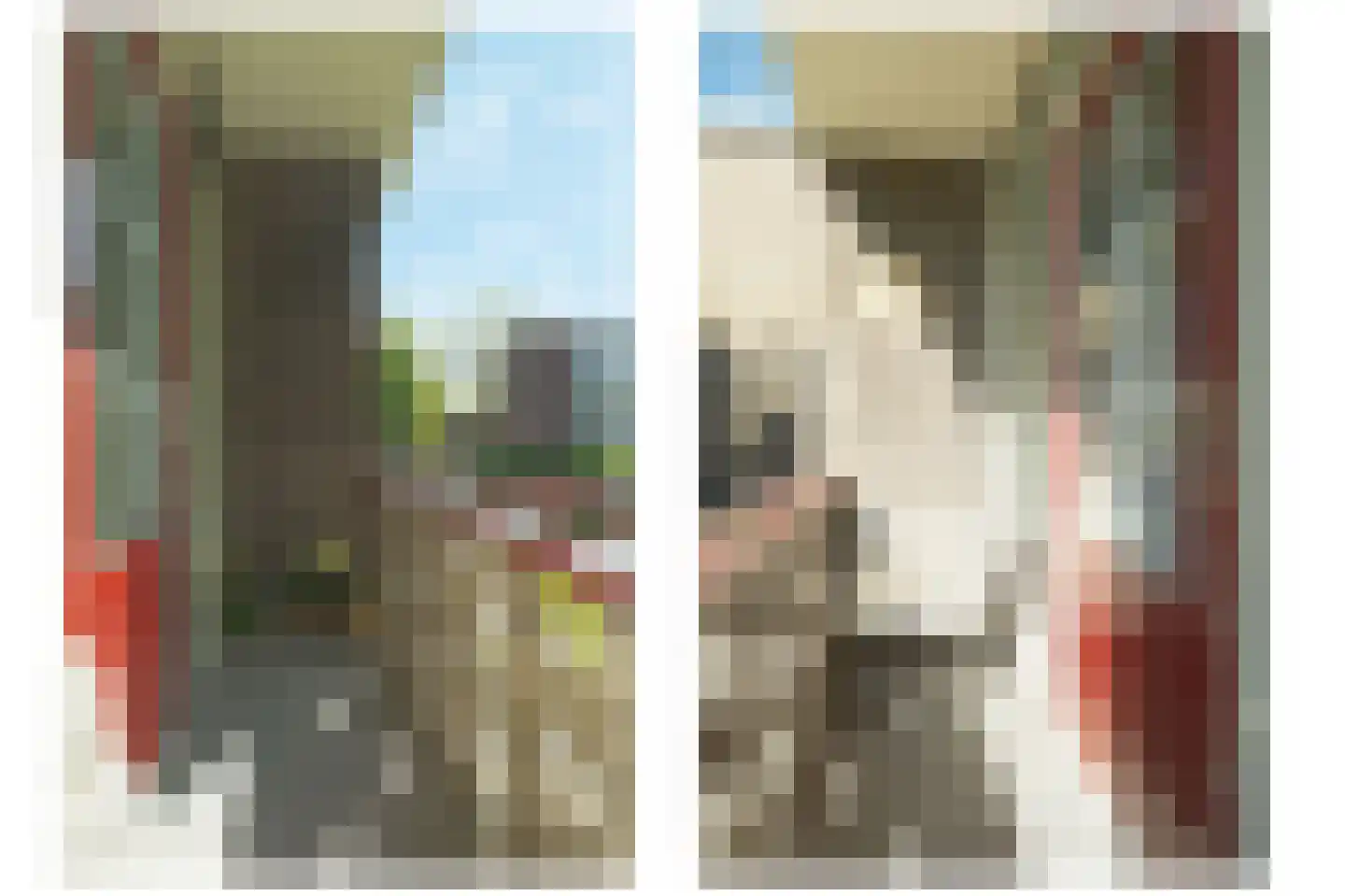 Jhr. De Savornin Lohmanstraat 21 Ridderkerk thumbnail 23