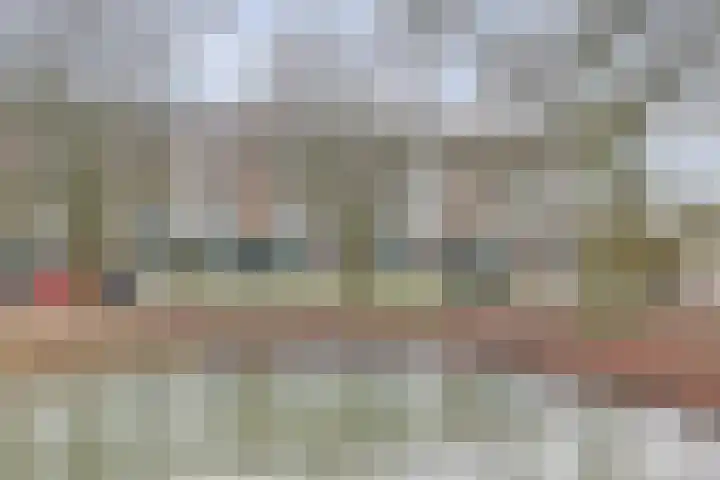 Jhr. De Savornin Lohmanstraat 231 Ridderkerk thumbnail 31