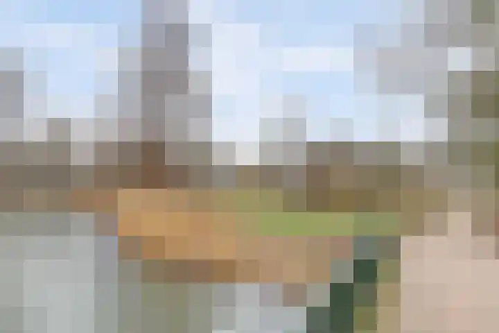 Jhr. De Savornin Lohmanstraat 231 Ridderkerk thumbnail 32