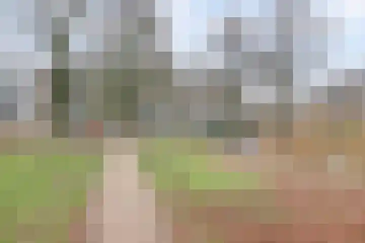 Jhr. De Savornin Lohmanstraat 231 Ridderkerk thumbnail 33