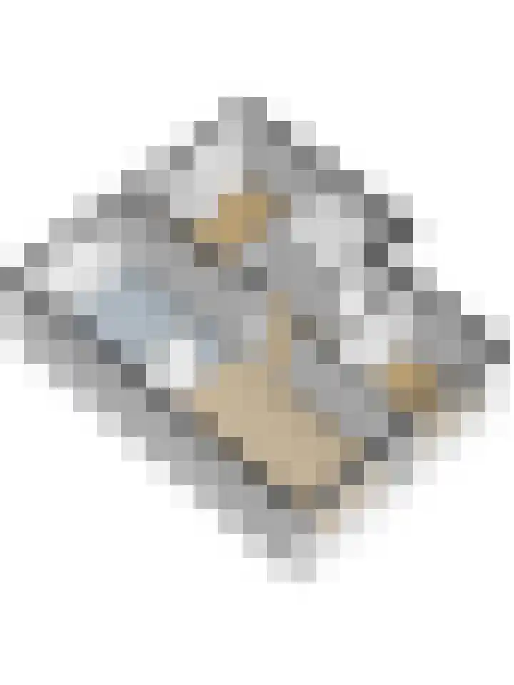 Jhr. De Savornin Lohmanstraat 231 Ridderkerk thumbnail 44