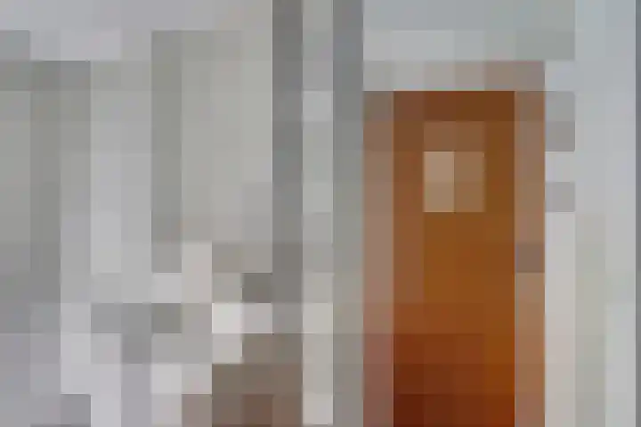 Jhr. De Savornin Lohmanstraat 231 Ridderkerk thumbnail 7