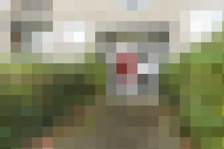 Jhr. De Savornin Lohmanstraat 25 Ridderkerk thumbnail 23