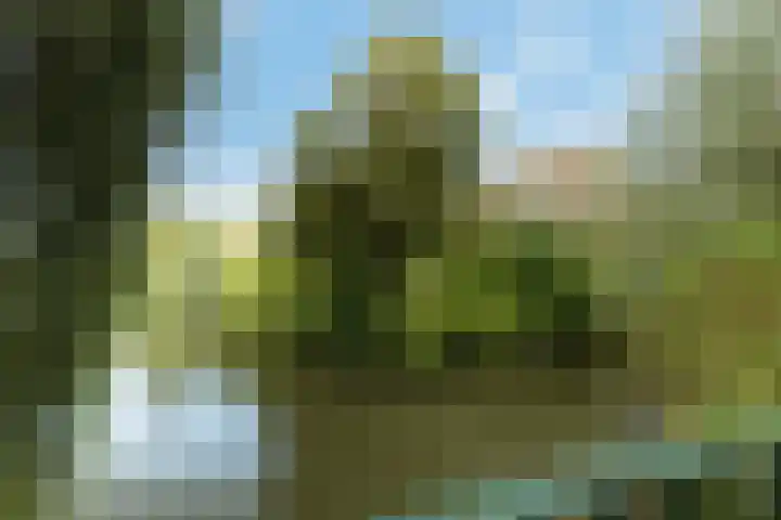 Jhr. De Savornin Lohmanstraat 25 Ridderkerk thumbnail 27