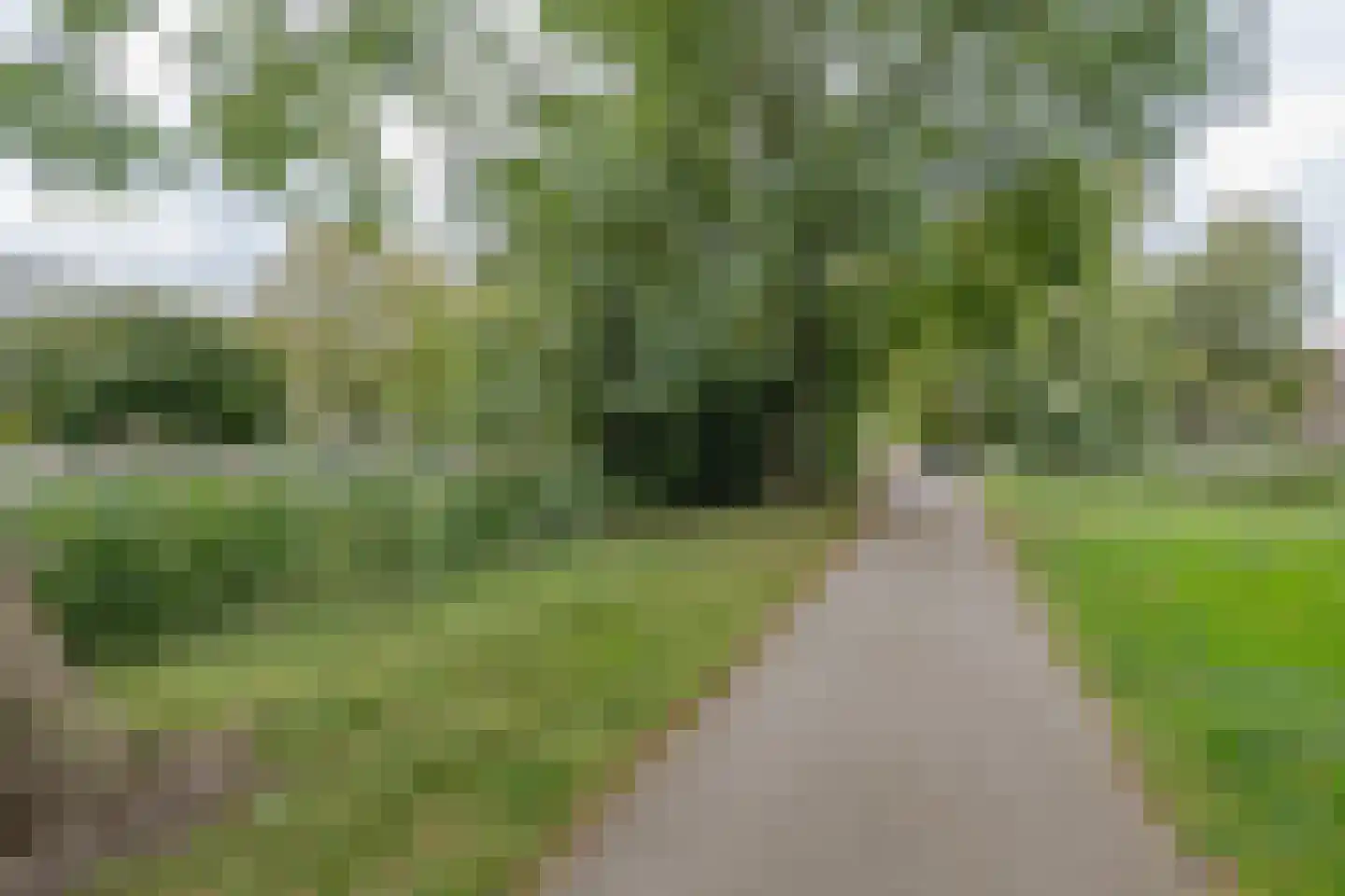 Jhr. De Savornin Lohmanstraat 251 Ridderkerk thumbnail 26