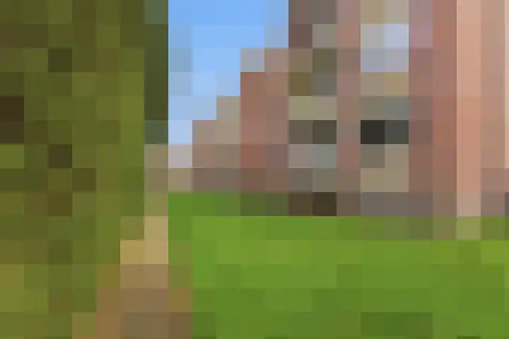 Jhr. De Savornin Lohmanstraat 34 Ridderkerk thumbnail 29