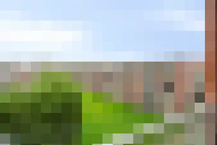 Jhr. De Savornin Lohmanstraat 36 Ridderkerk thumbnail 22