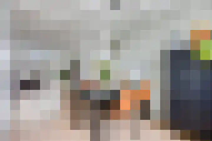 Jhr. De Savornin Lohmanstraat 36 Ridderkerk thumbnail 7