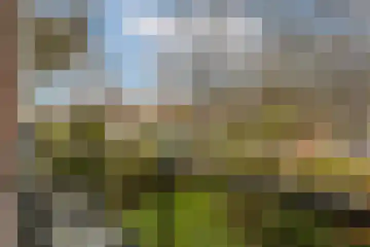 Jhr. De Savornin Lohmanstraat 44 Ridderkerk thumbnail 31
