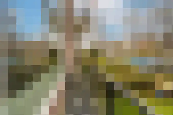 Jhr. De Savornin Lohmanstraat 44 Ridderkerk thumbnail 32