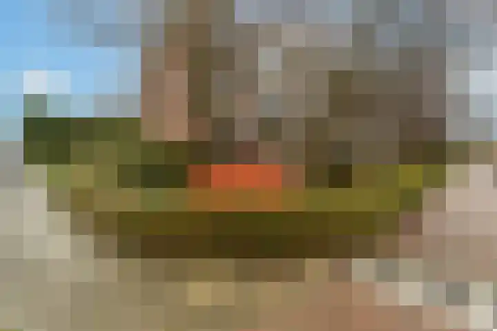 Jhr. De Savornin Lohmanstraat 44 Ridderkerk thumbnail 35