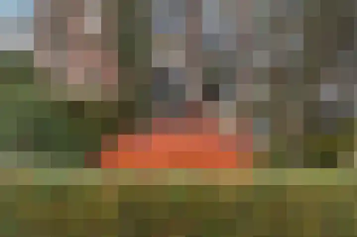 Jhr. De Savornin Lohmanstraat 44 Ridderkerk thumbnail 36