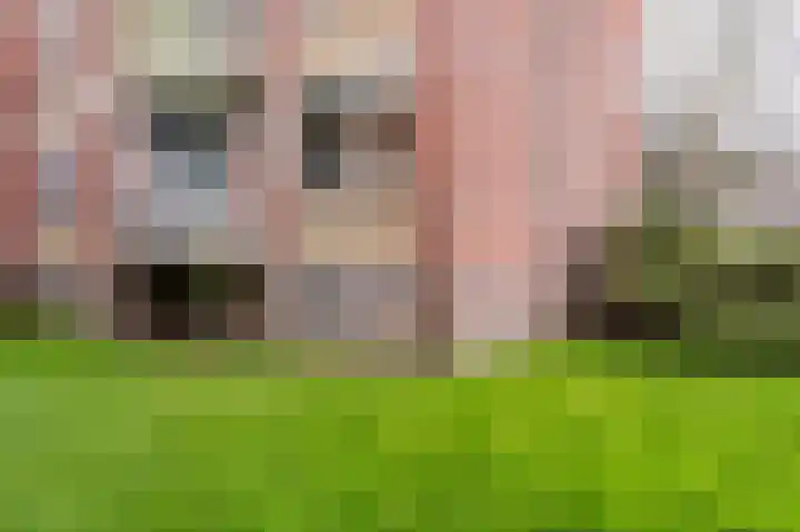 Jhr. De Savornin Lohmanstraat 44 Ridderkerk thumbnail 38