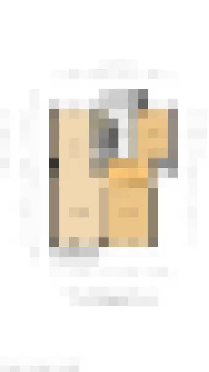 Jhr. De Savornin Lohmanstraat 44 Ridderkerk thumbnail 41