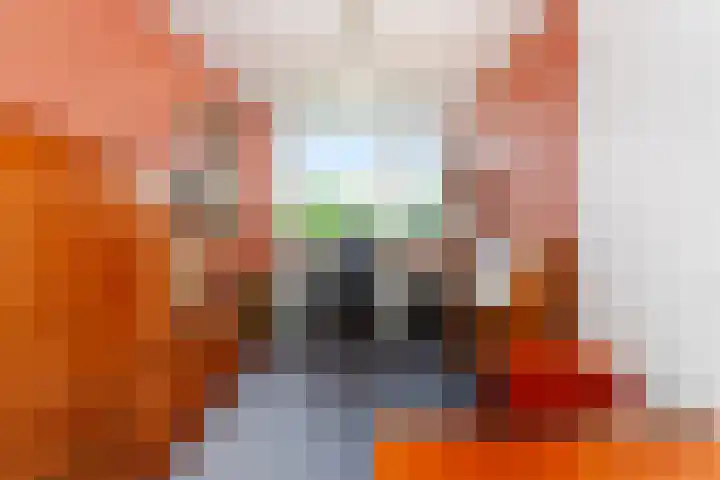 Jhr. De Savornin Lohmanstraat 46 Ridderkerk thumbnail 13