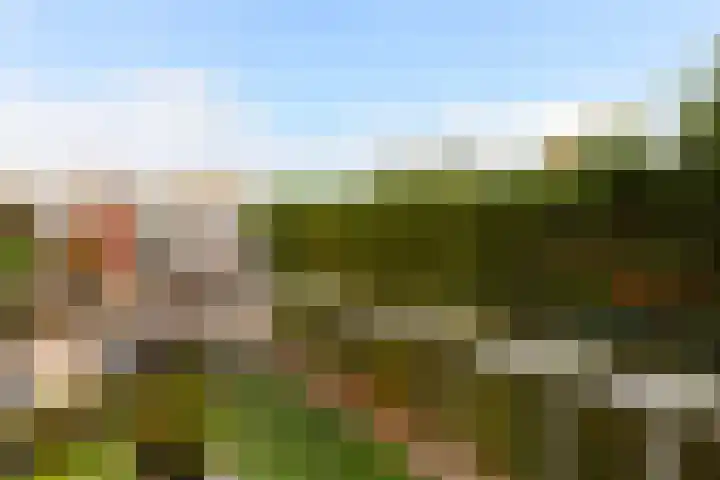 Jhr. De Savornin Lohmanstraat 46 Ridderkerk thumbnail 17