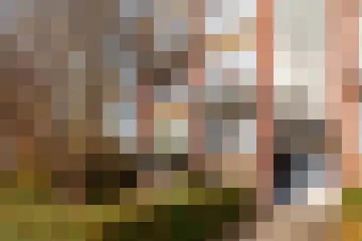 Jhr. De Savornin Lohmanstraat 46 Ridderkerk thumbnail 29
