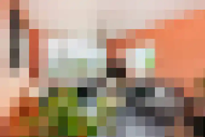 Jhr. De Savornin Lohmanstraat 46 Ridderkerk thumbnail 5