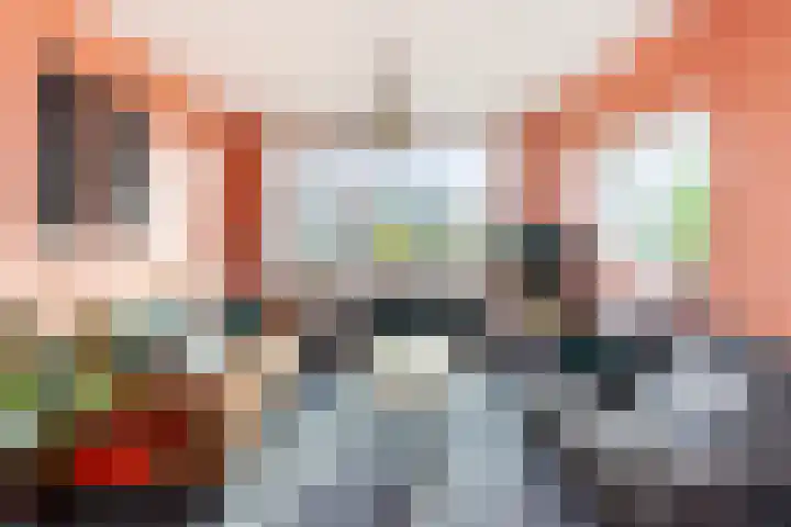 Jhr. De Savornin Lohmanstraat 46 Ridderkerk thumbnail 8