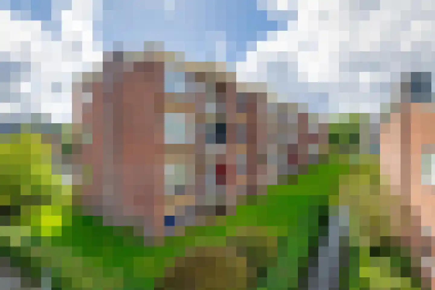 Jhr. De Savornin Lohmanstraat 58 Ridderkerk thumbnail 26