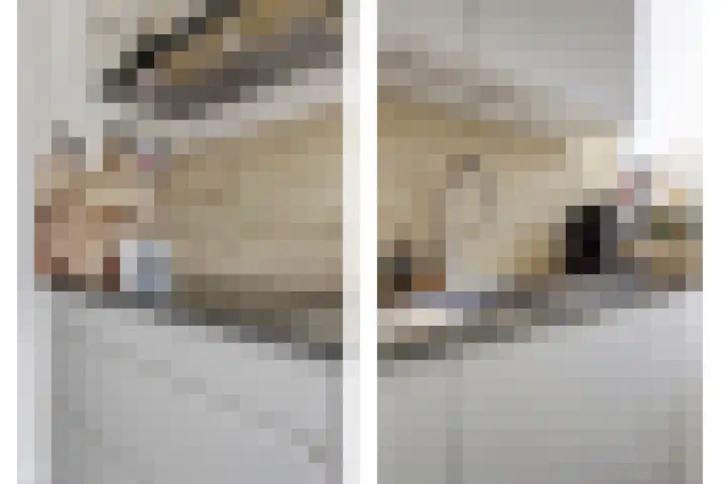 Jhr. De Savornin Lohmanstraat 61 Ridderkerk thumbnail 23