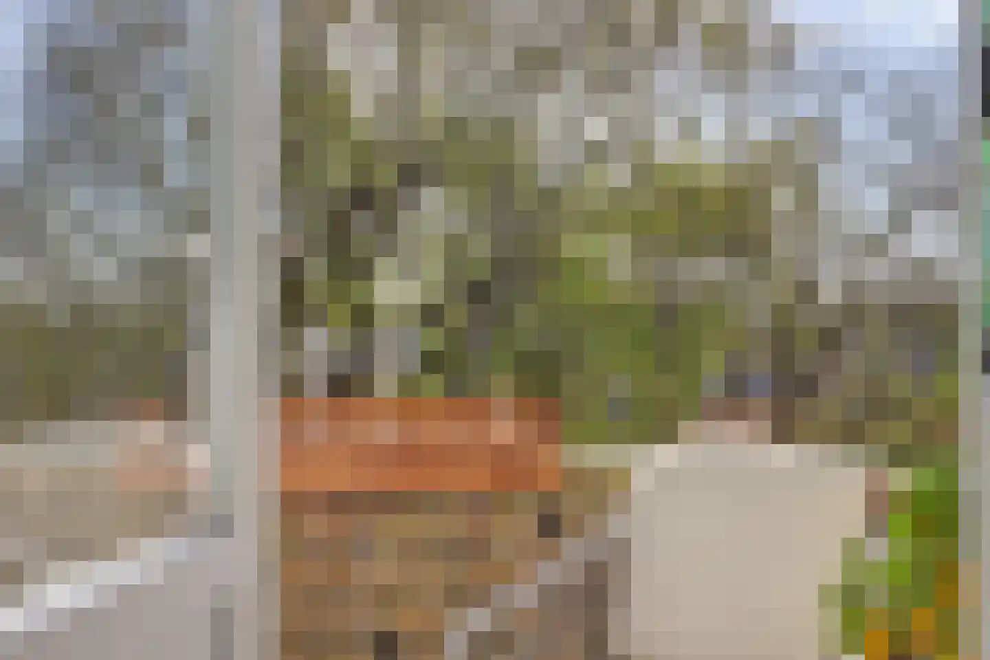 Jhr. De Savornin Lohmanstraat 61 Ridderkerk thumbnail 25
