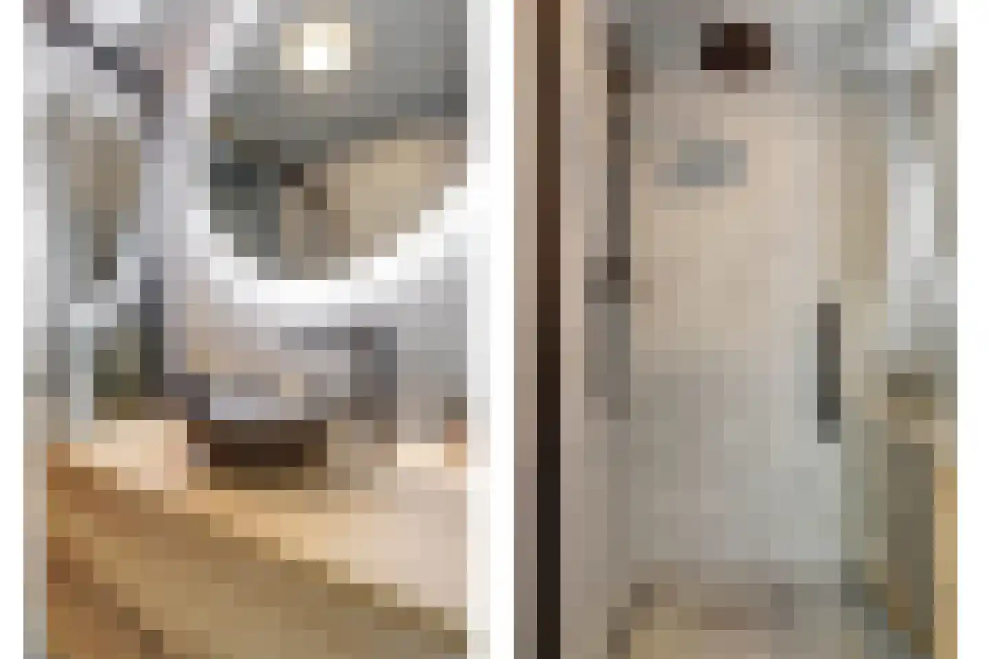 Jhr. De Savornin Lohmanstraat 61 Ridderkerk thumbnail 33