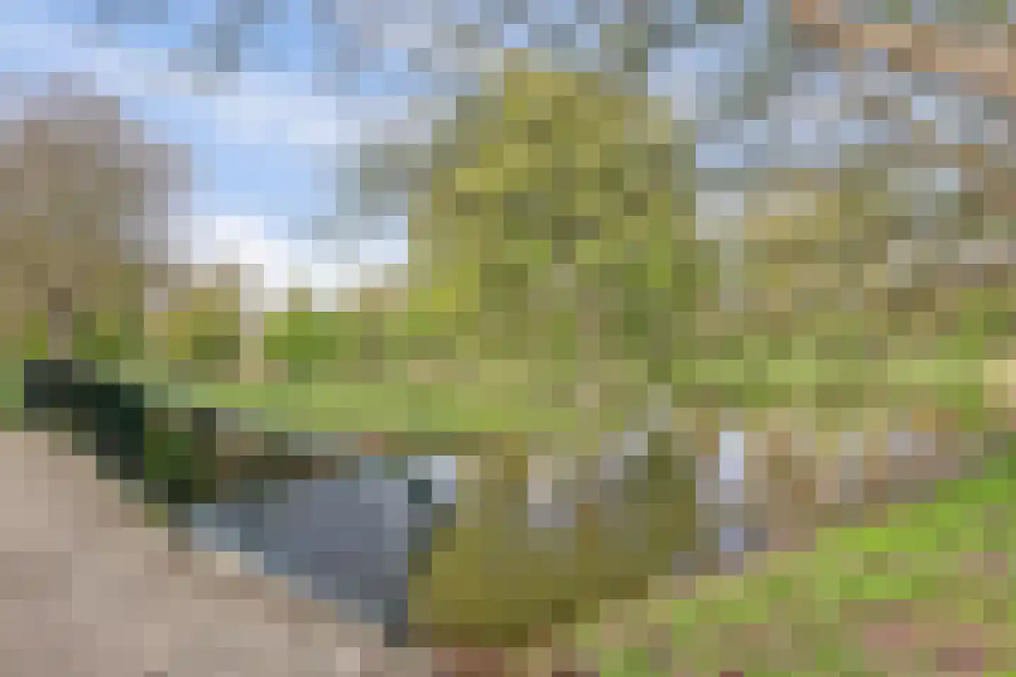Jhr. De Savornin Lohmanstraat 61 Ridderkerk thumbnail 38