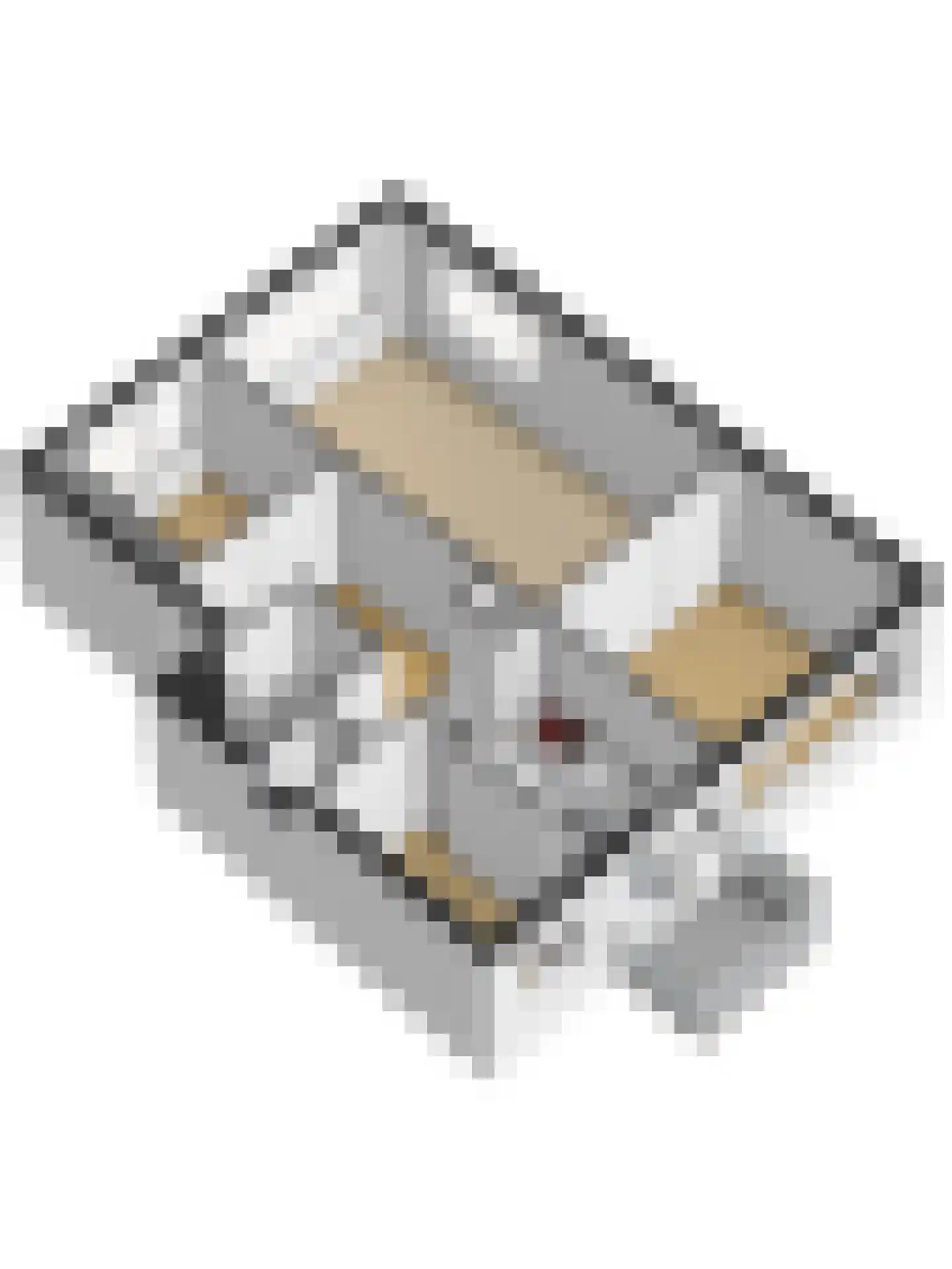 Jhr. De Savornin Lohmanstraat 61 Ridderkerk thumbnail 40