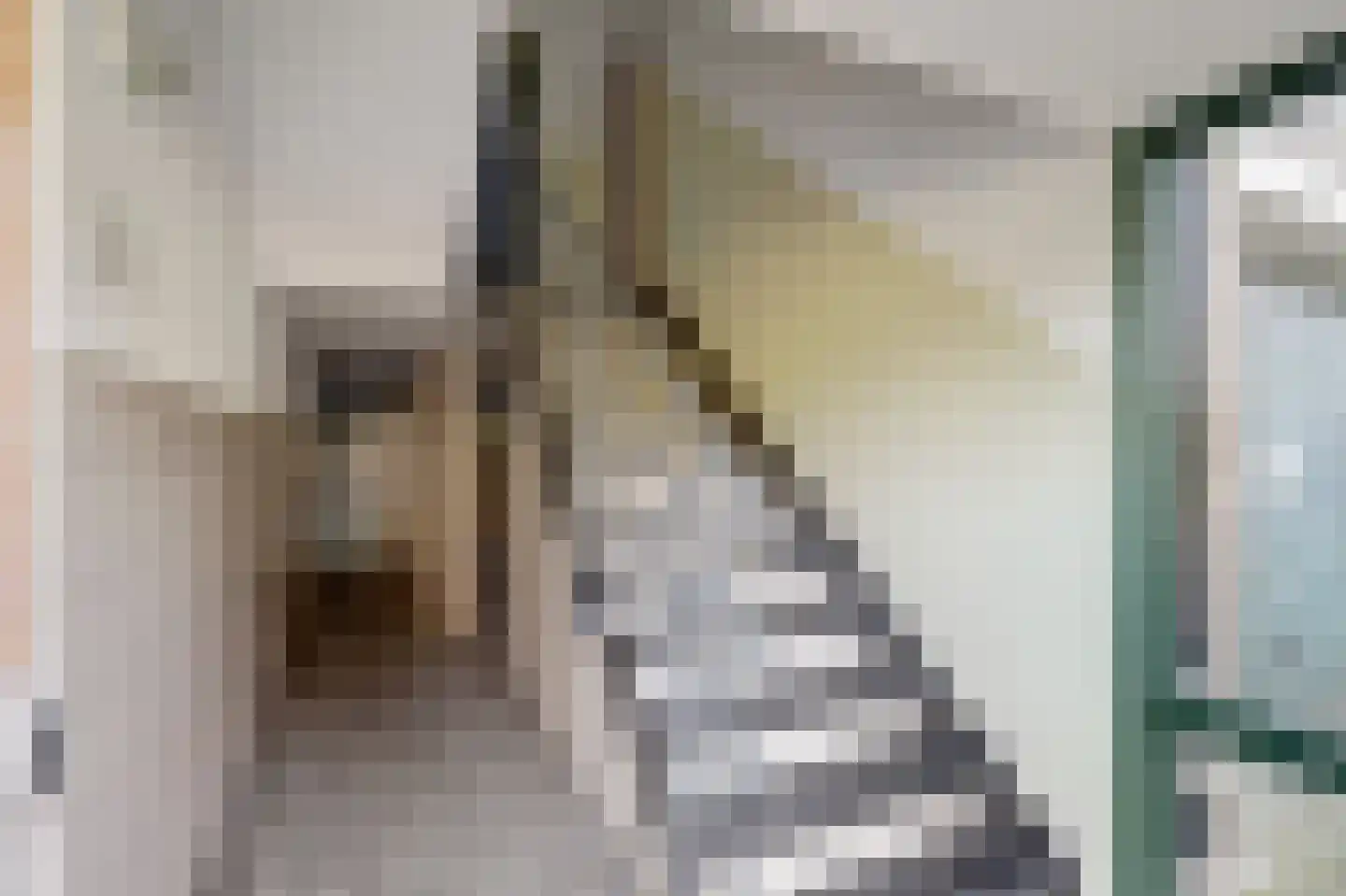 Jhr. De Savornin Lohmanstraat 61 Ridderkerk thumbnail 8