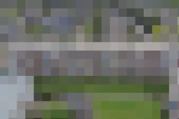 Jhr. De Savornin Lohmanstraat 66 Ridderkerk thumbnail 32