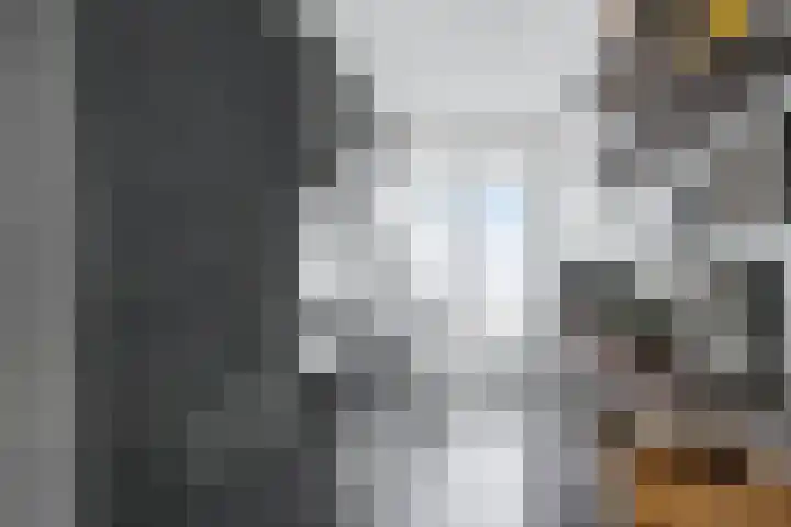 Jhr. De Savornin Lohmanstraat 66 Ridderkerk thumbnail 7