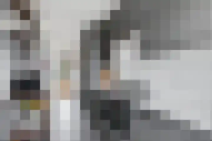Jhr. De Savornin Lohmanstraat 66 Ridderkerk thumbnail 8