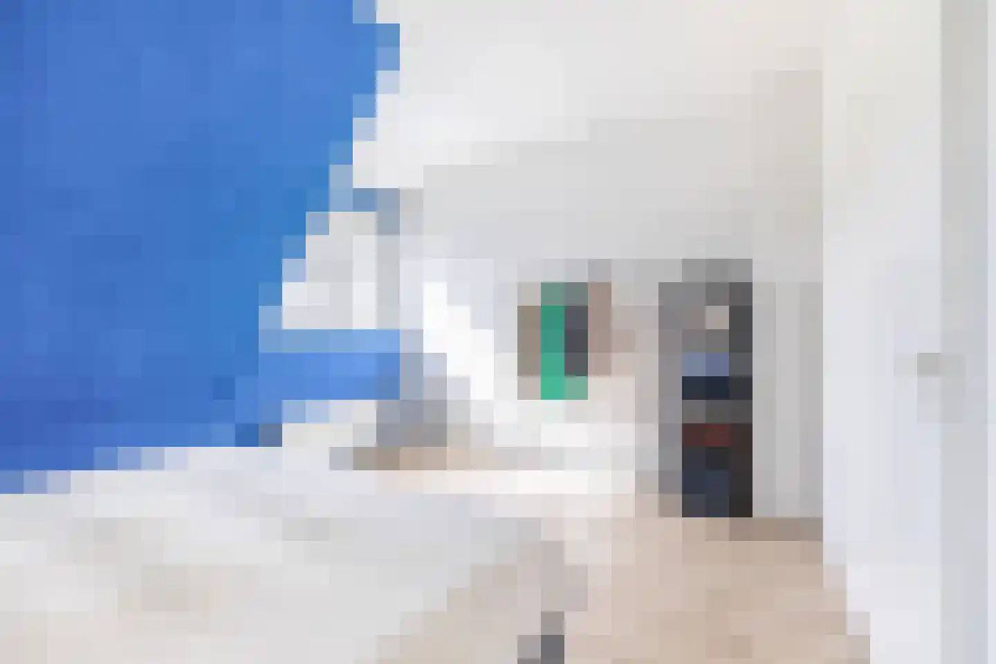 Jhr F J J van Eijsingastraat 10 Sint Nicolaasga thumbnail 20