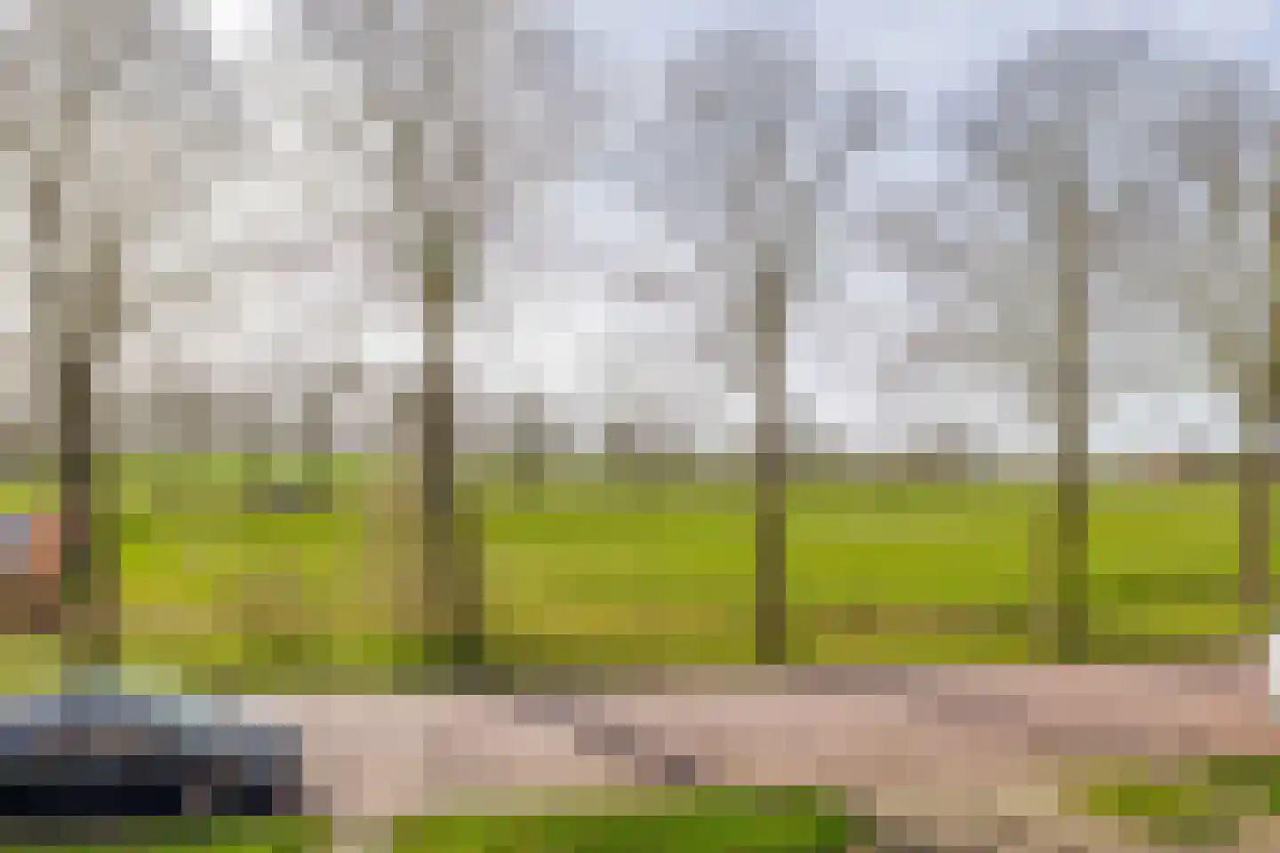 Jhr F J J van Eijsingastraat 10 Sint Nicolaasga thumbnail 32