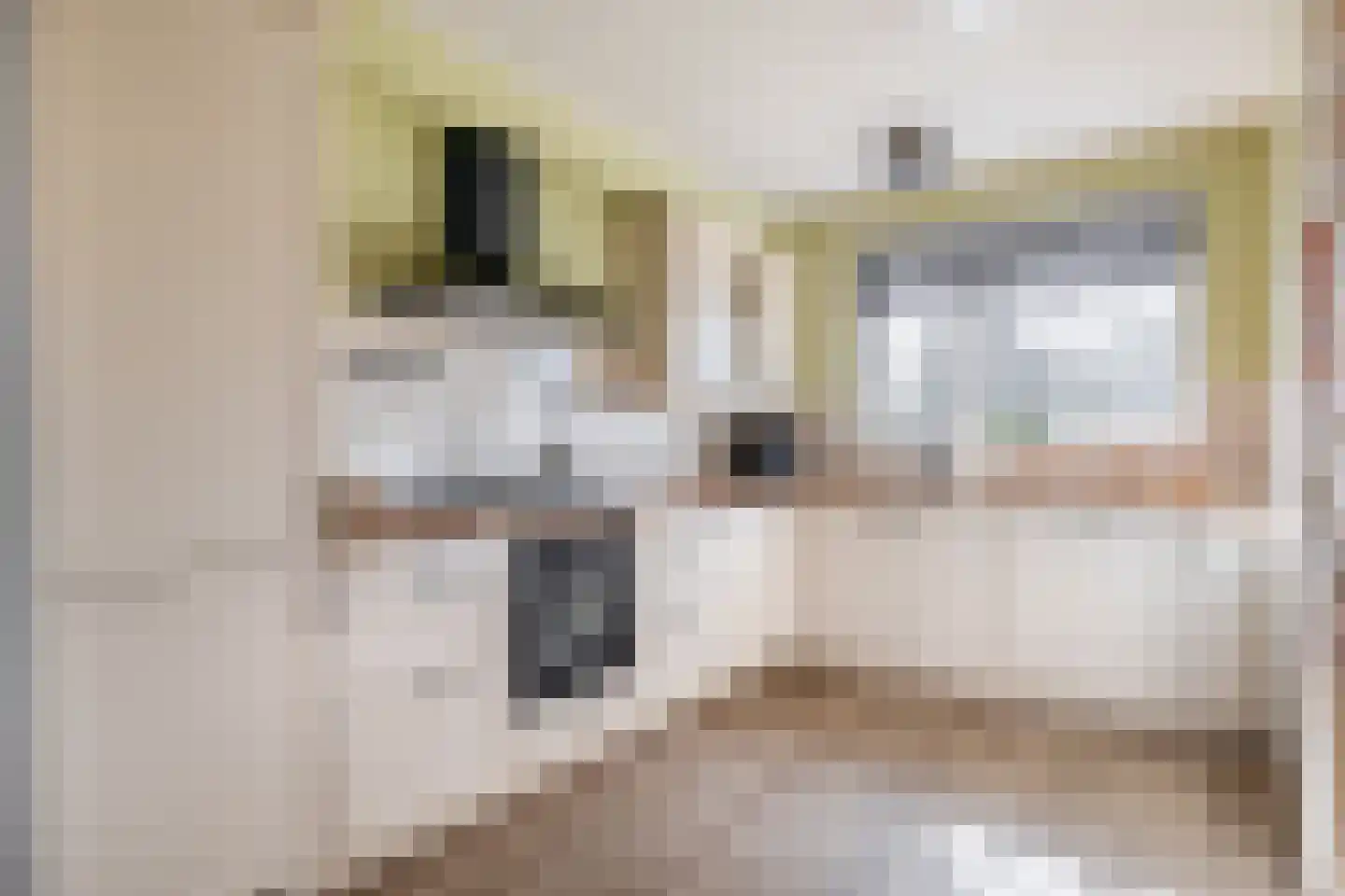 Jhr F J J van Eijsingastraat 10 Sint Nicolaasga thumbnail 6