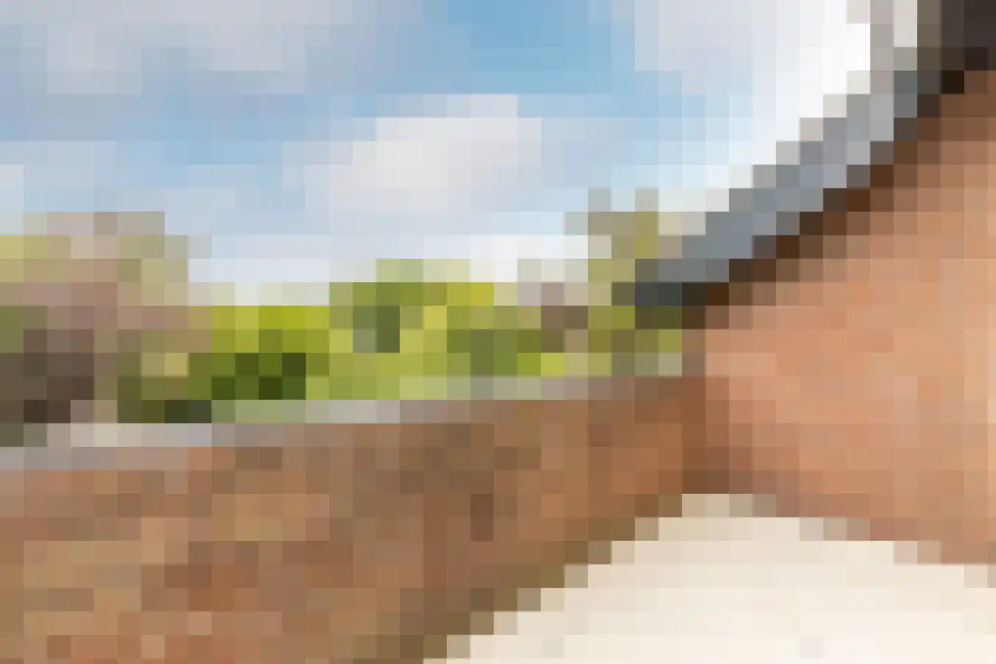 Jhr G.C.W. van Tets van Goudriaanlaan 16 Heerjansdam thumbnail 25