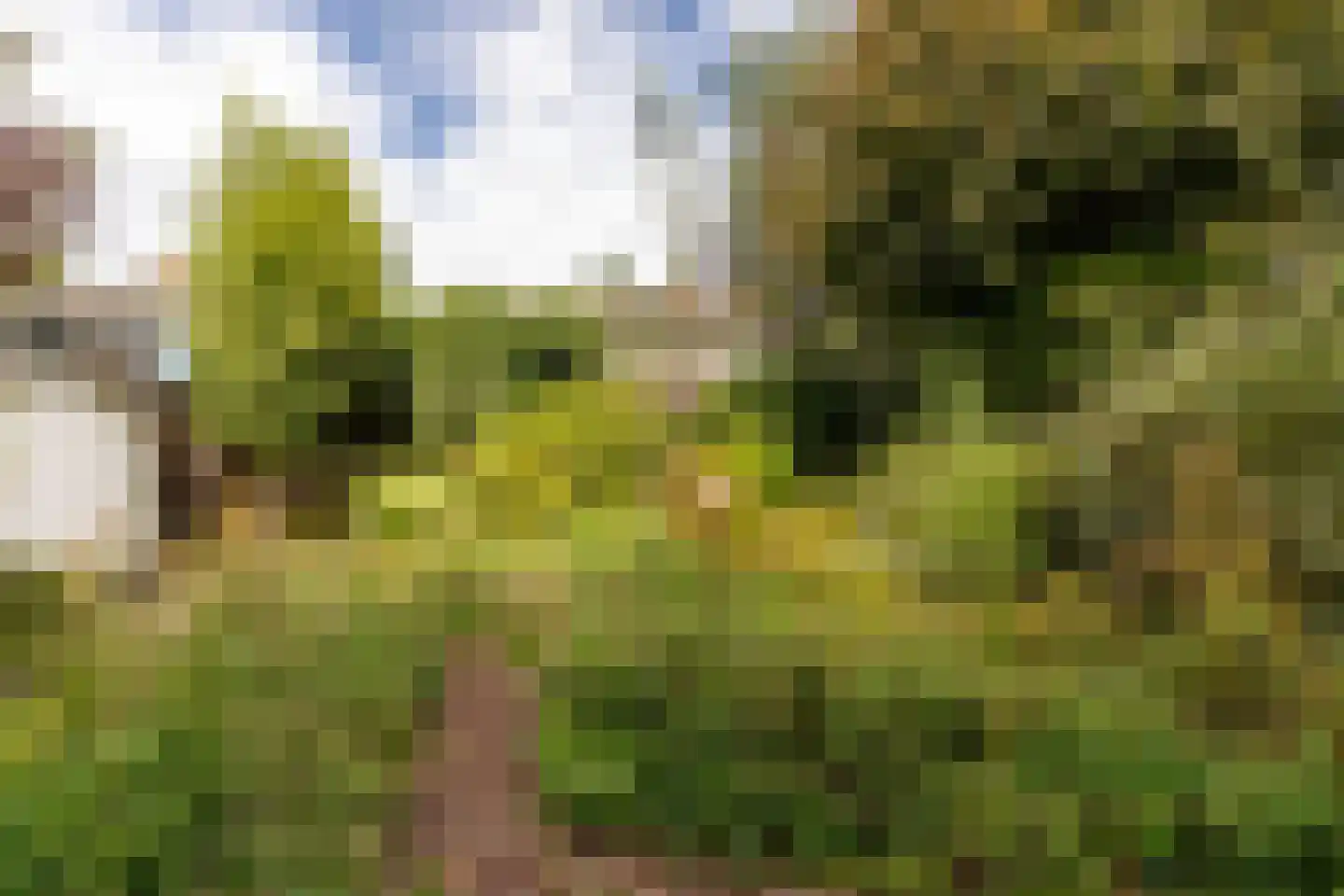 Jhr G.C.W. van Tets van Goudriaanlaan 16 Heerjansdam thumbnail 35
