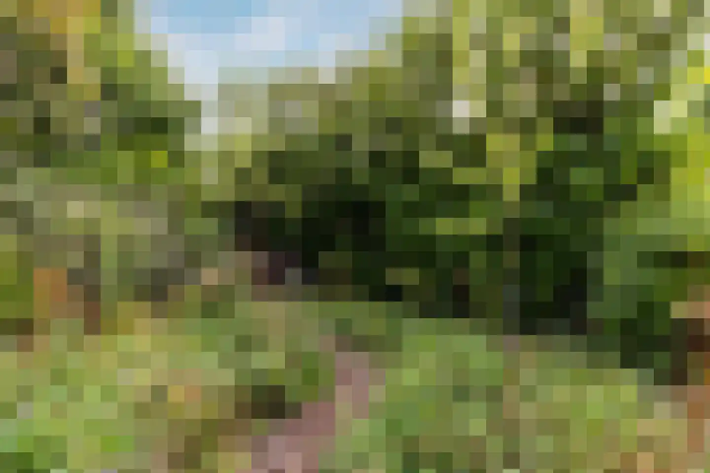 Jhr G.C.W. van Tets van Goudriaanlaan 16 Heerjansdam thumbnail 37