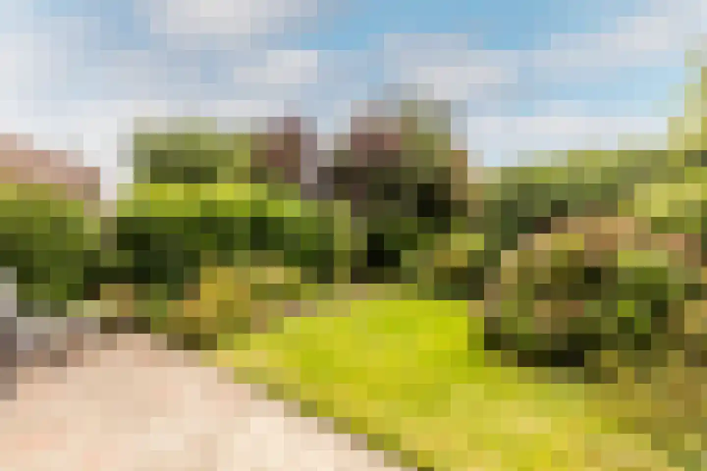 Jhr G.C.W. van Tets van Goudriaanlaan 16 Heerjansdam thumbnail 5