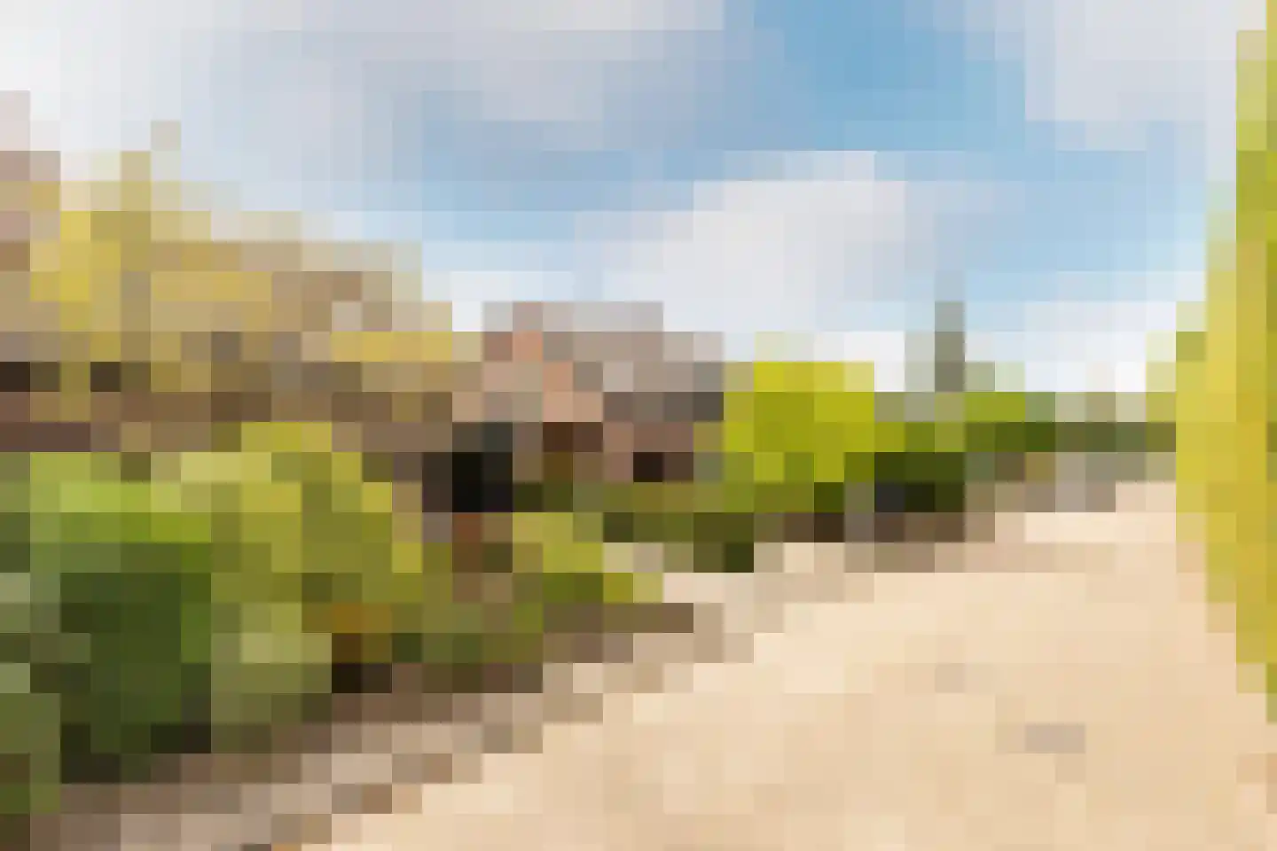 Jhr G.C.W. van Tets van Goudriaanlaan 16 Heerjansdam thumbnail 6