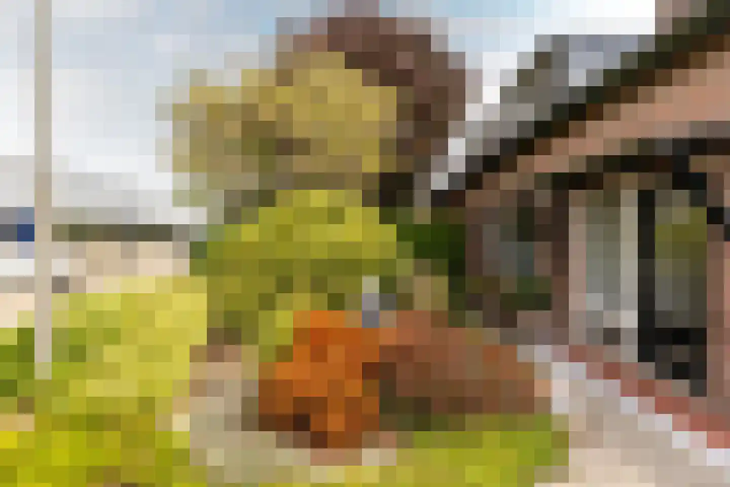 Jhr G.C.W. van Tets van Goudriaanlaan 16 Heerjansdam thumbnail 7