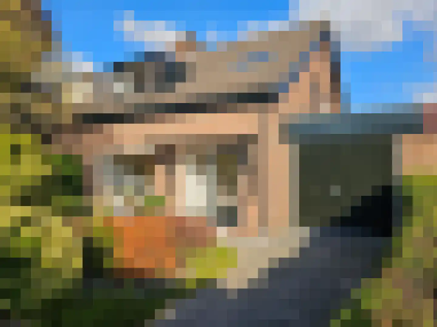 Jhr G.C.W. van Tets van Goudriaanlaan 16 Heerjansdam thumbnail 8