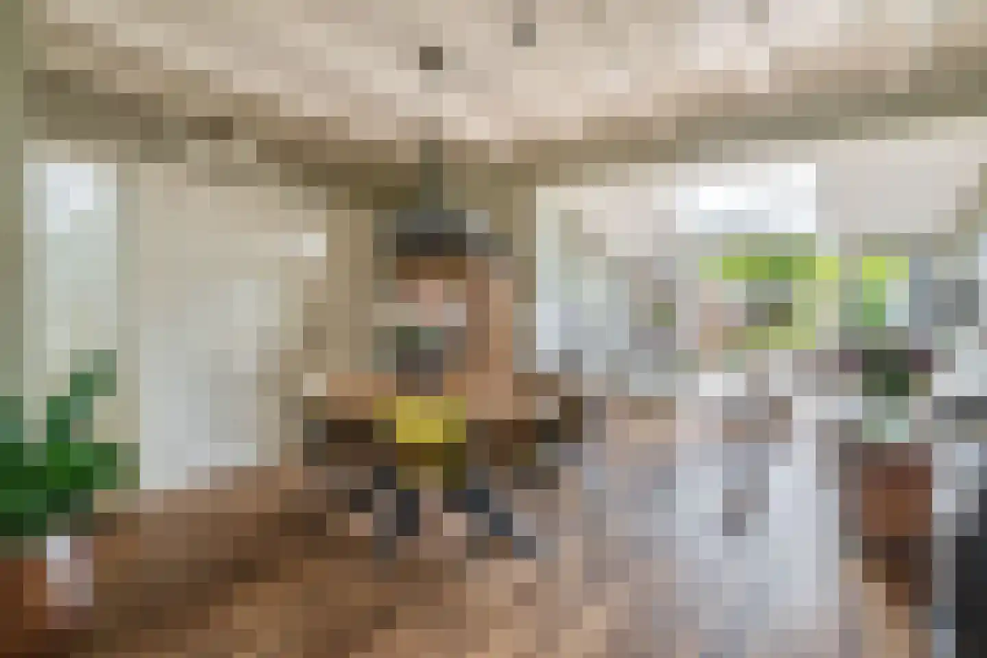 Jhr.Groeninx van Zoelenstraat 28 Ridderkerk thumbnail 12