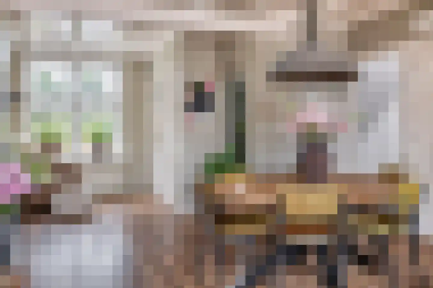 Jhr.Groeninx van Zoelenstraat 28 Ridderkerk thumbnail 15